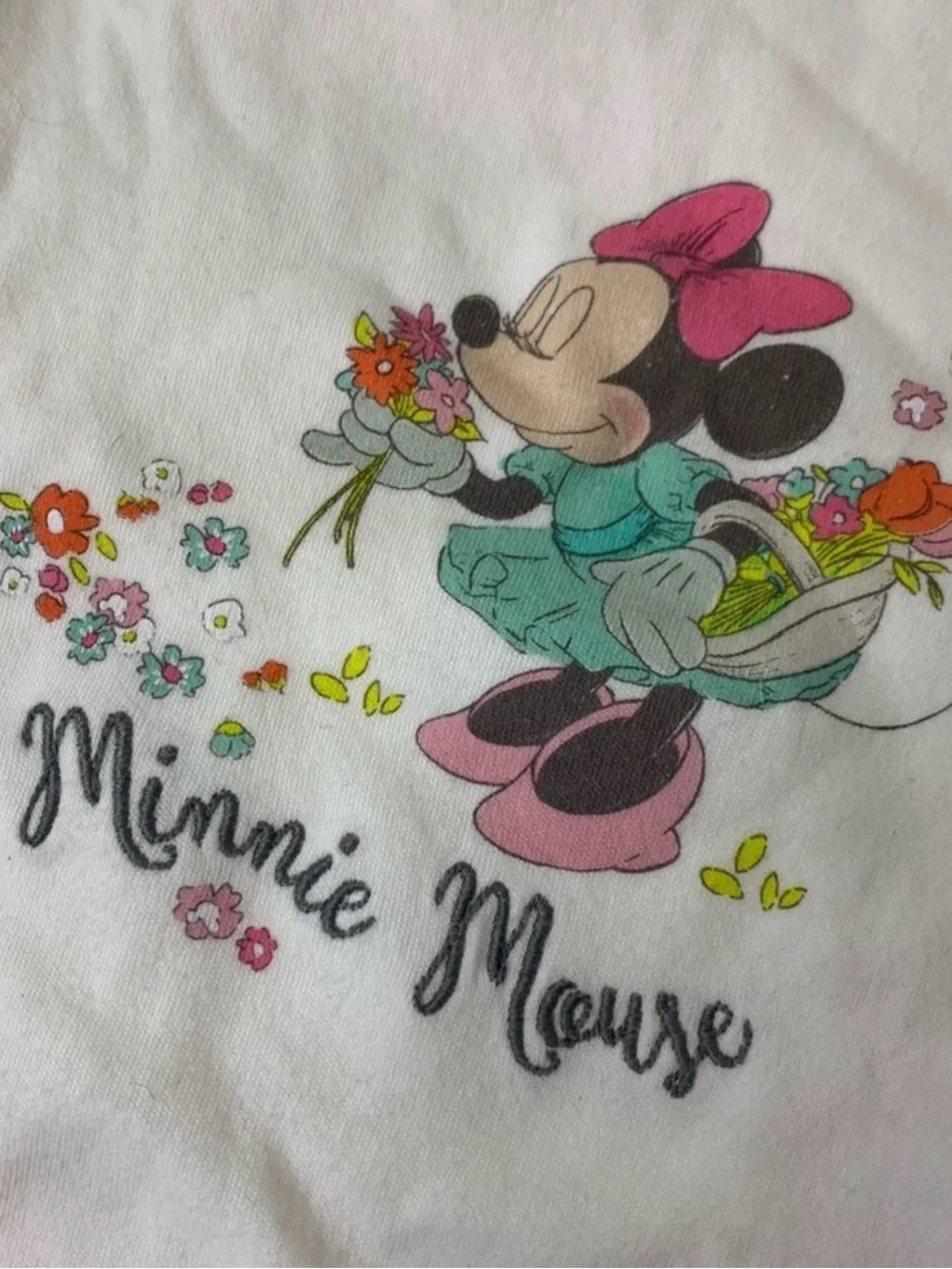 Disney Minnie Mouse Floral Bodysuit & Pants Set Size 3-6M